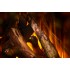 New Forest 1600 with Deluxe Real logs New Forest 1600 with Deluxe Real logs